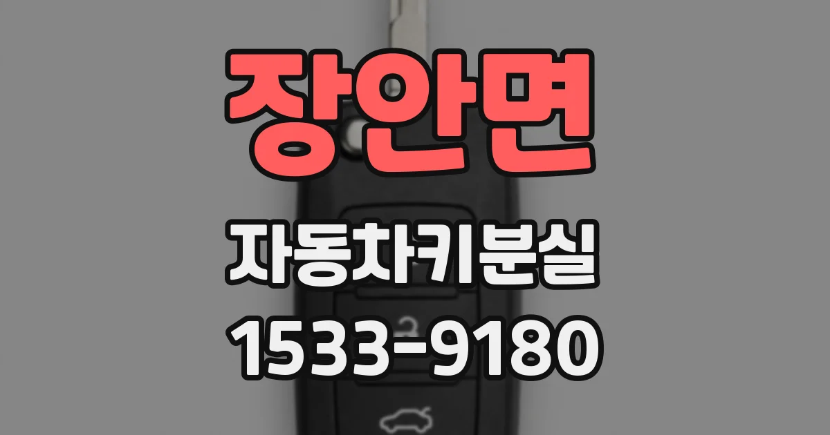 장안면 자동차키분실