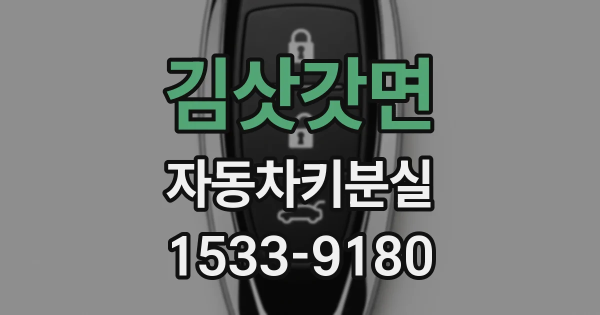 김삿갓면 자동차키분실