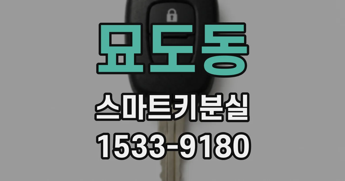 묘도동 스마트키분실