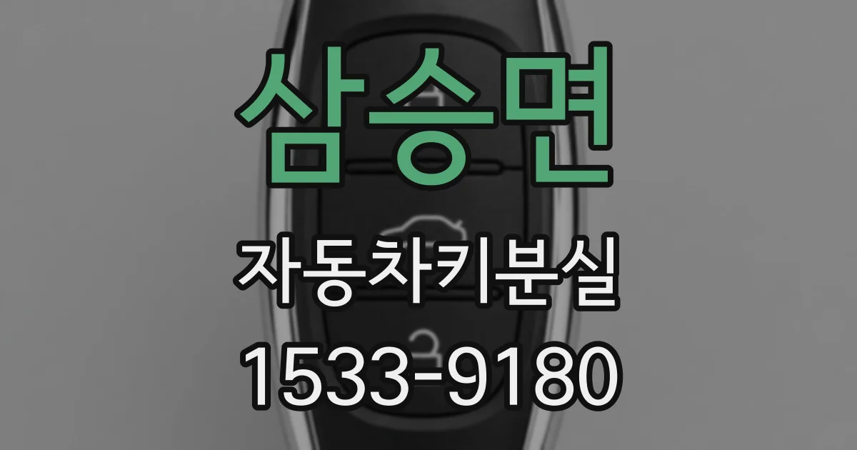 삼승면 자동차키분실