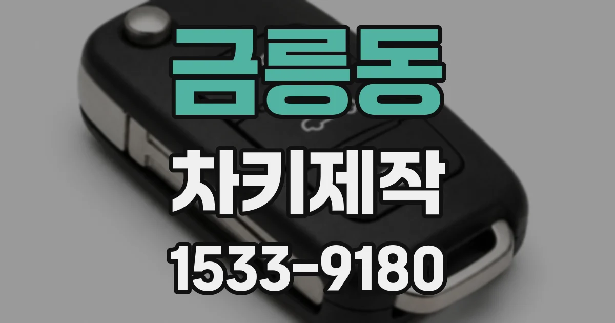 금릉동 차키제작