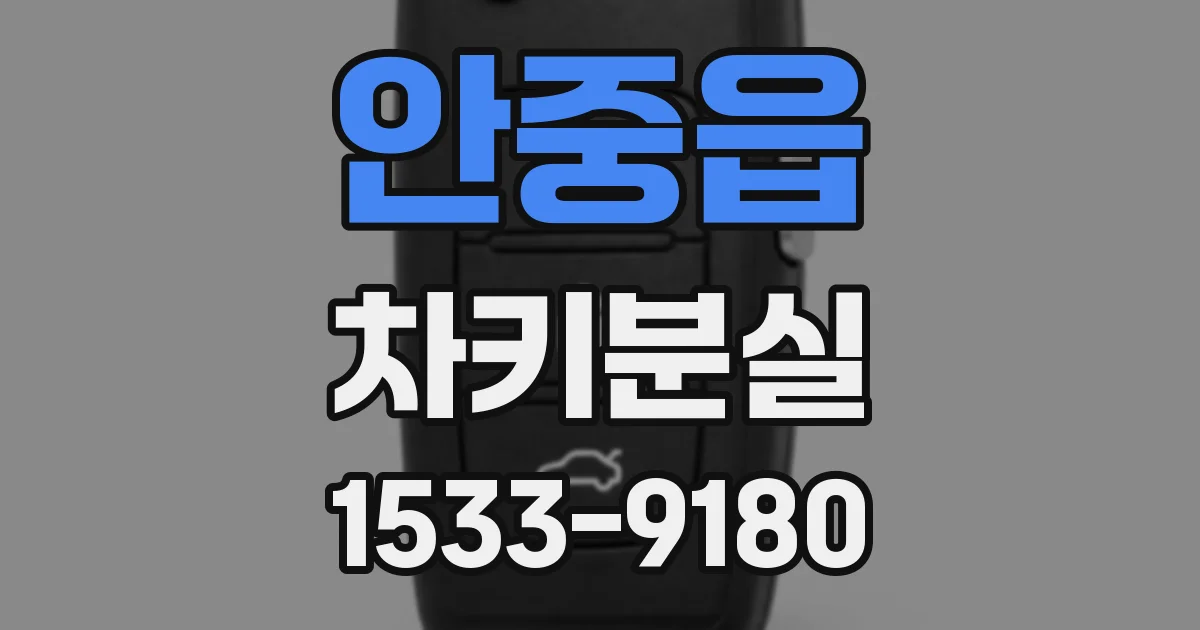 안중읍 차키분실