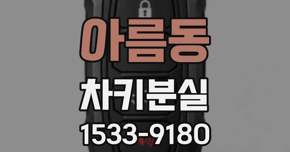 아름동 차키분실