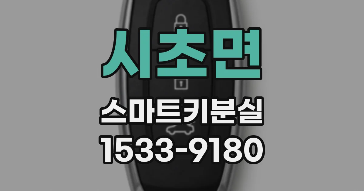 시초면 스마트키분실