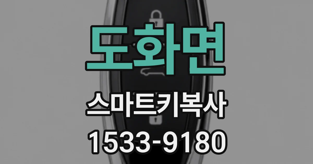 도화면 스마트키복사