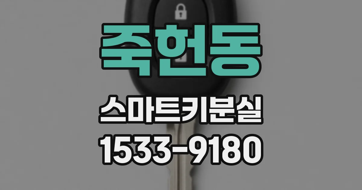 죽헌동 스마트키분실