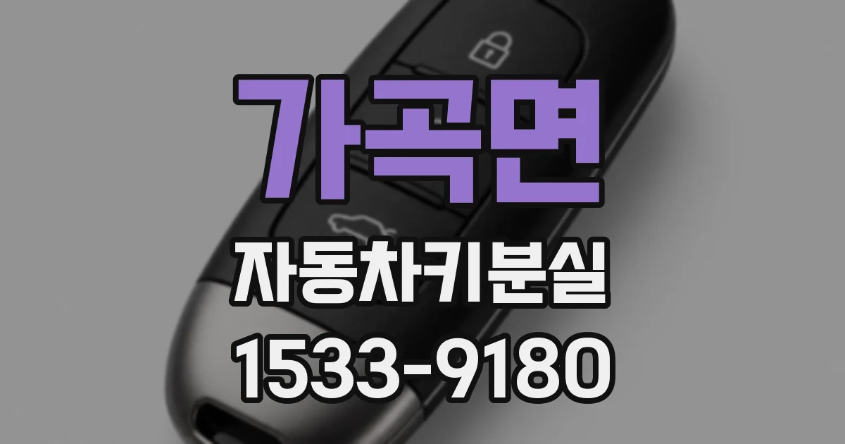 가곡면 자동차키분실
