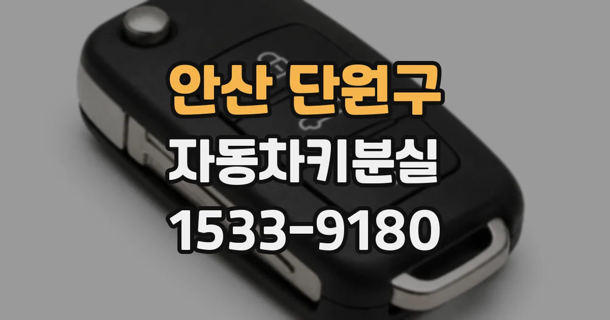 안산 단원구 자동차키분실