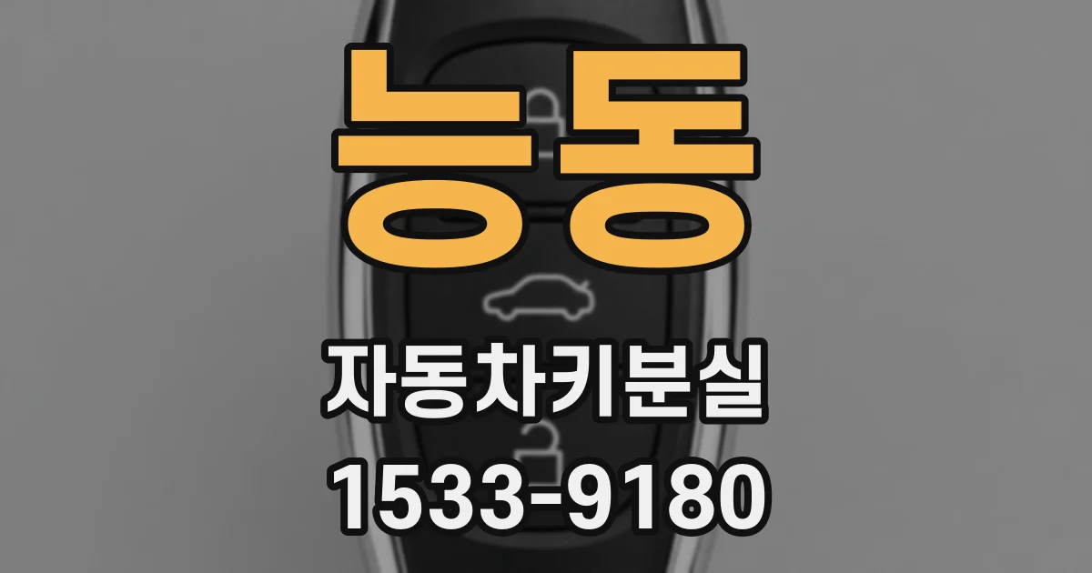 능동 자동차키분실