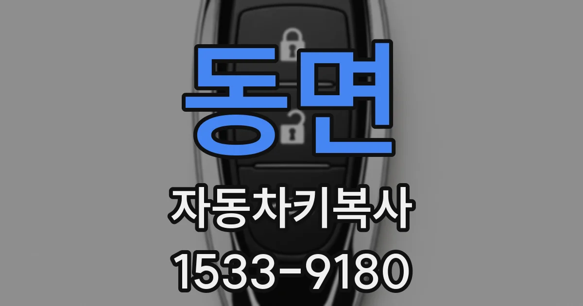 동면 자동차키복사