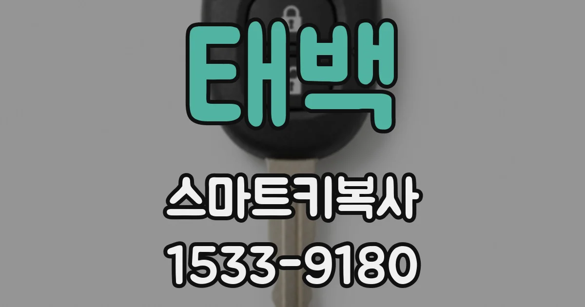 태백 스마트키복사