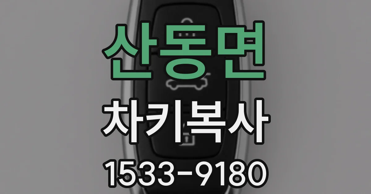 산동면 차키복사