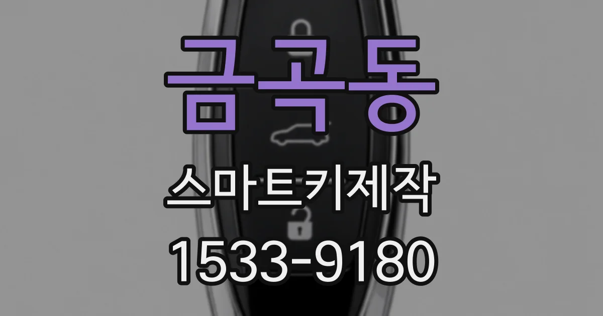 금곡동 스마트키제작