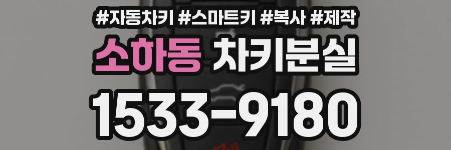 소하동 차키분실