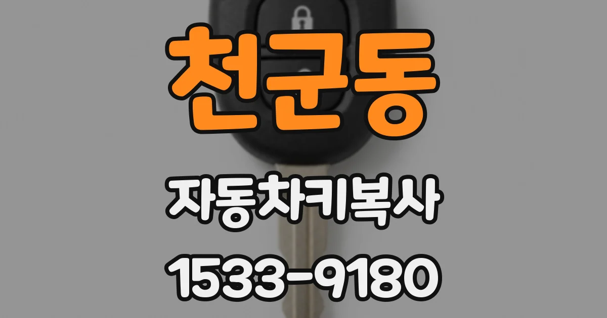 천군동 자동차키복사