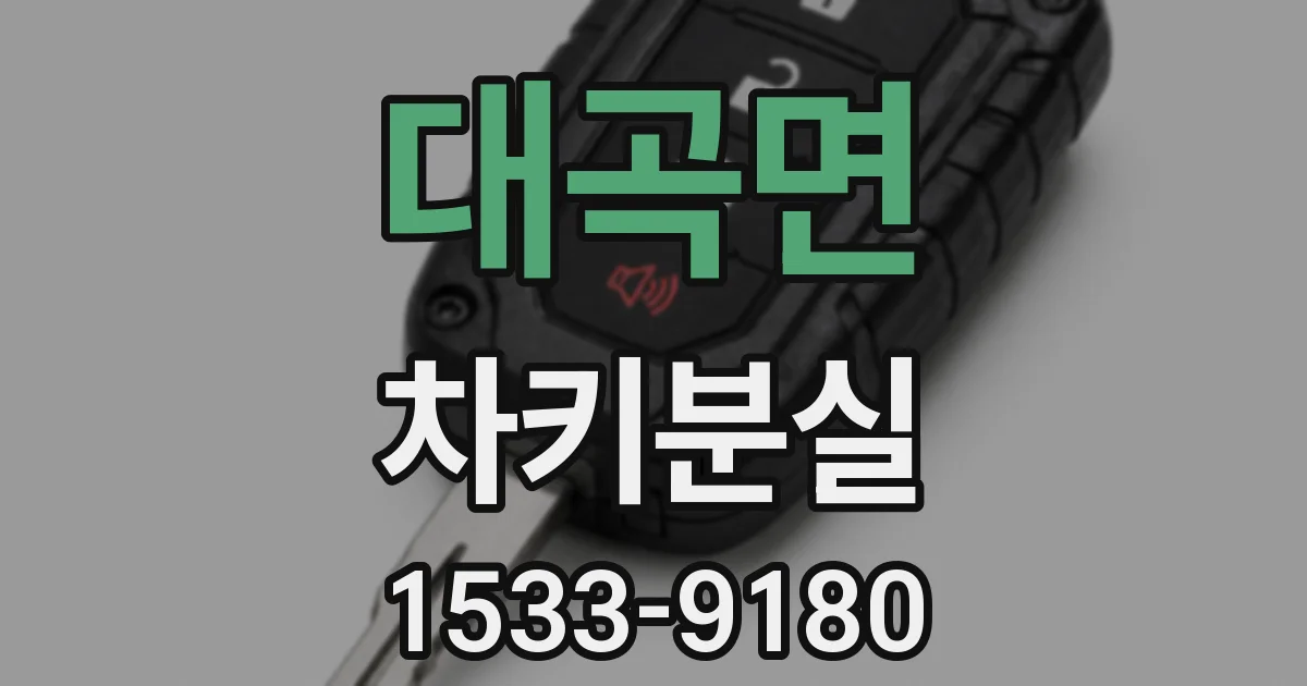 대곡면 차키분실
