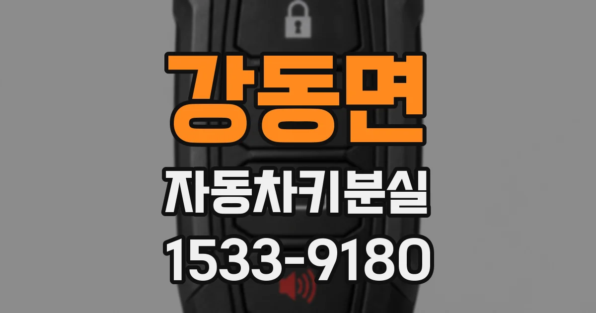 강동면 자동차키분실