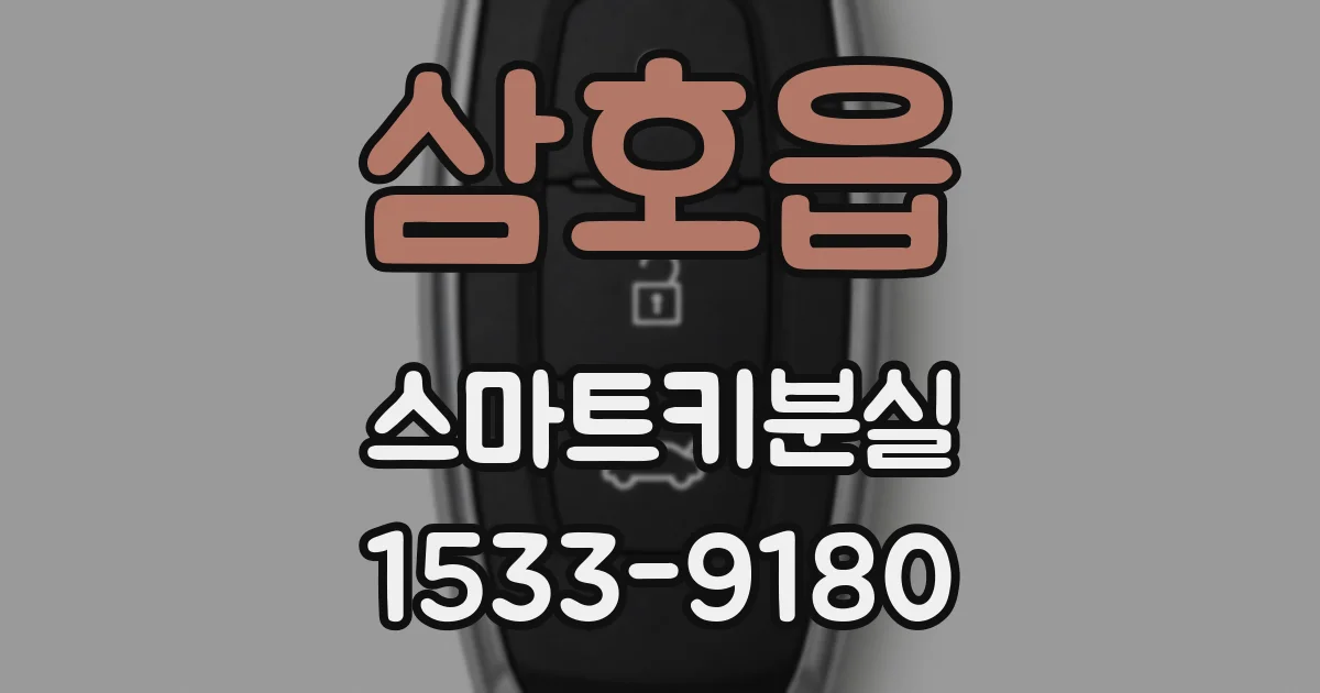 삼호읍 스마트키분실