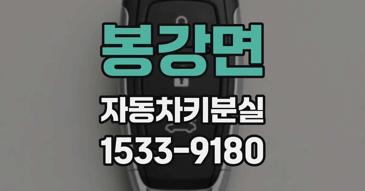 봉강면 자동차키분실