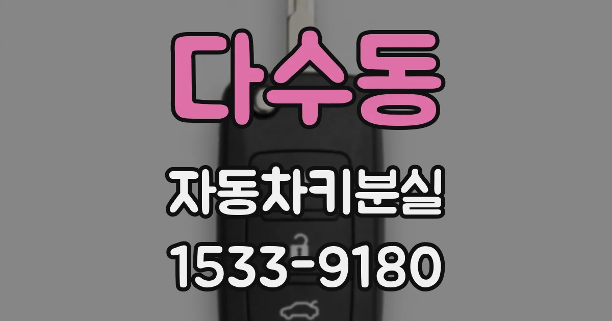 다수동 자동차키분실
