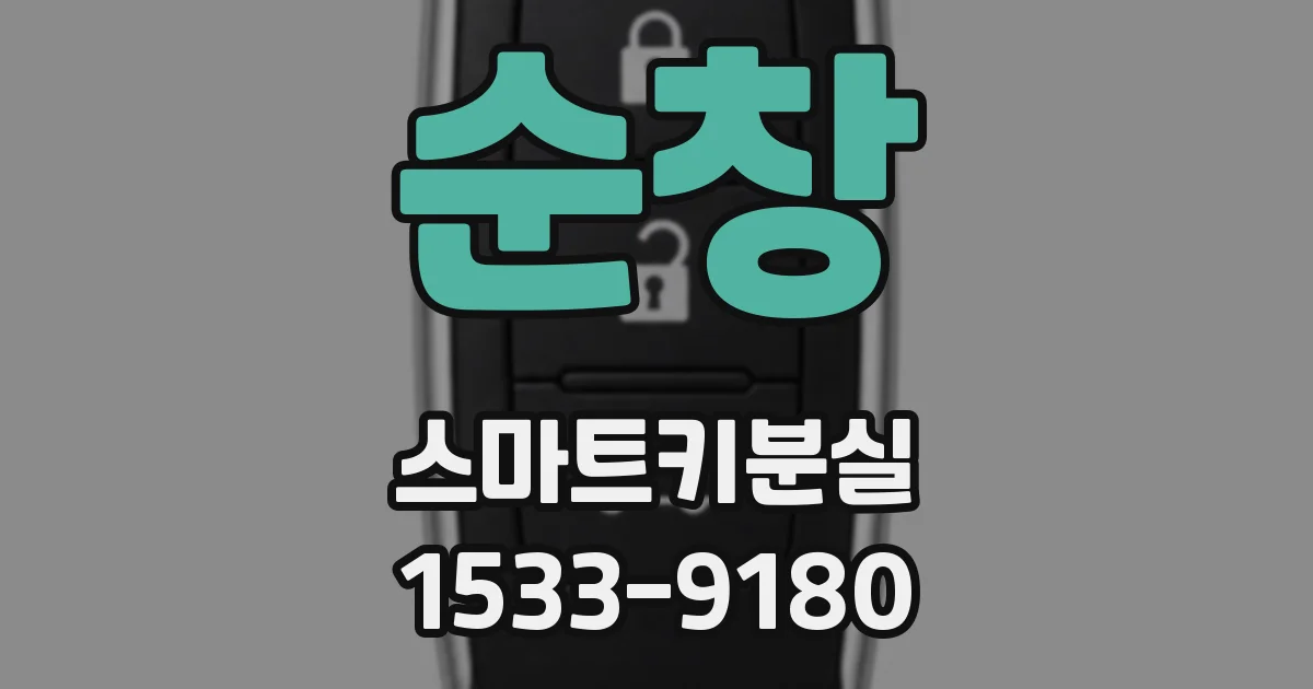 순창 스마트키분실
