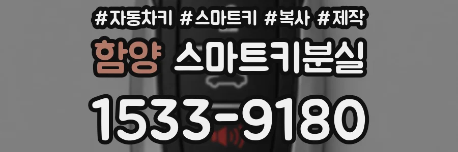 함양 스마트키분실