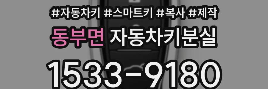 동부면 자동차키분실