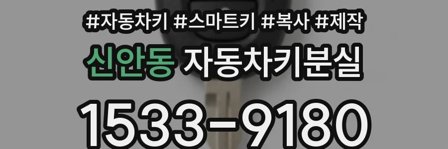 신안동 자동차키분실