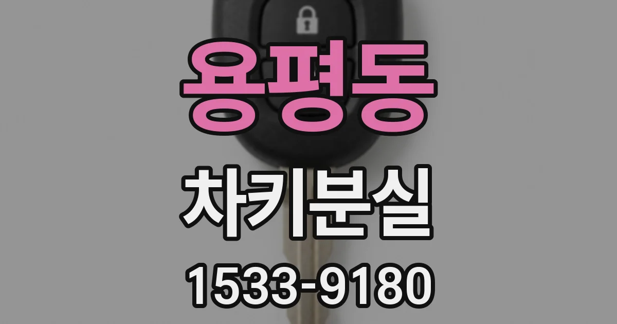 용평동 차키분실