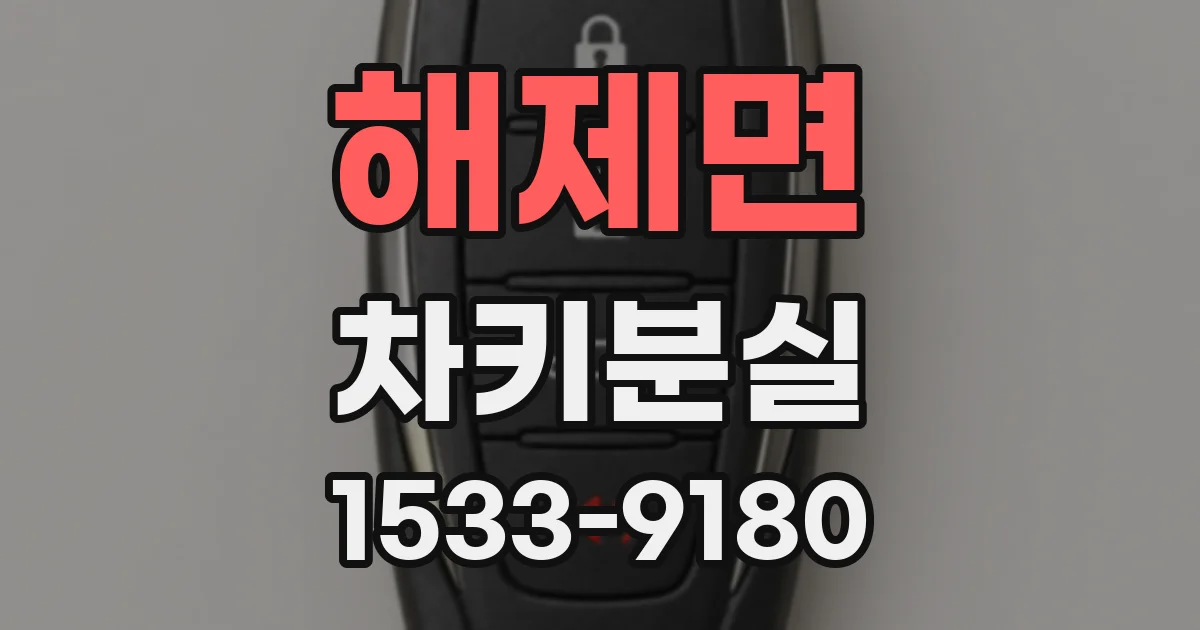 해제면 차키분실