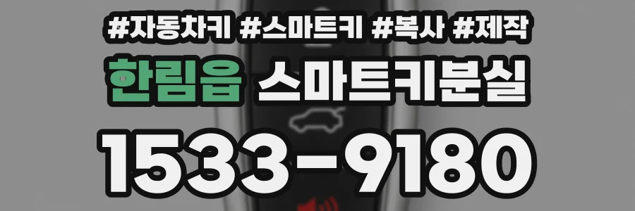 한림읍 스마트키분실