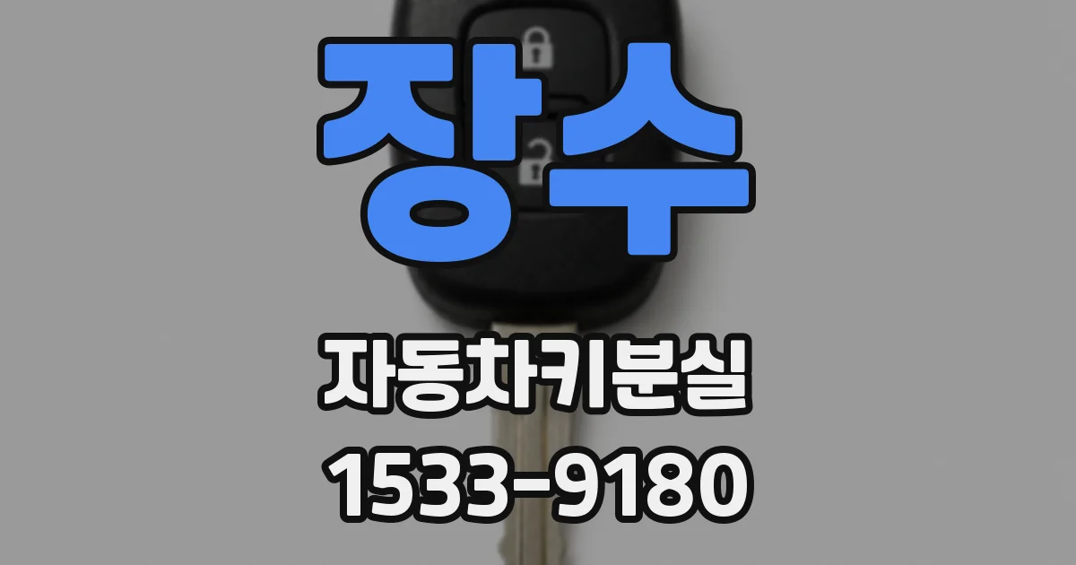장수 자동차키분실