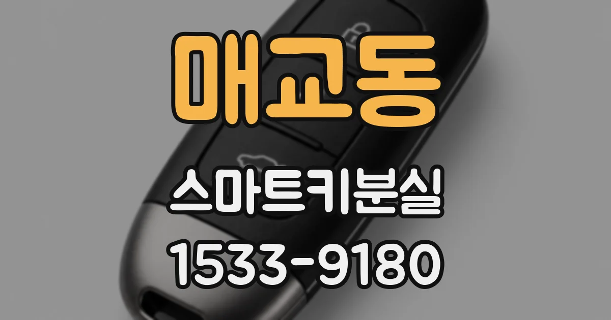 매교동 스마트키분실