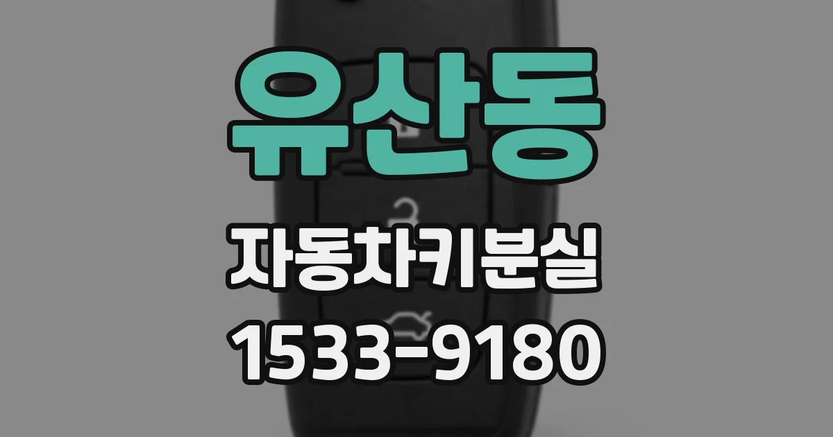 유산동 자동차키분실