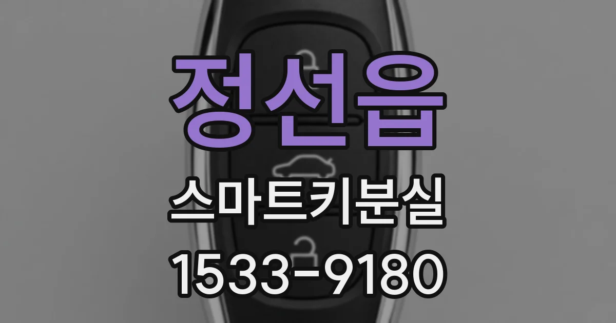 정선읍 스마트키분실