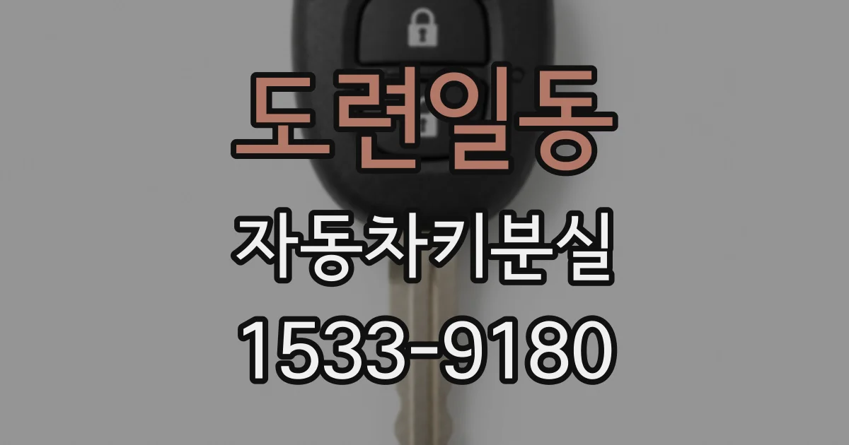 도련일동 자동차키분실