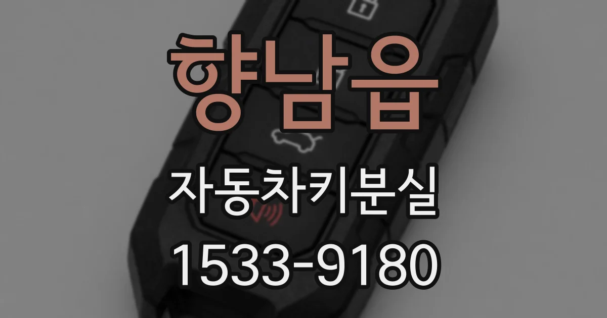 향남읍 자동차키분실
