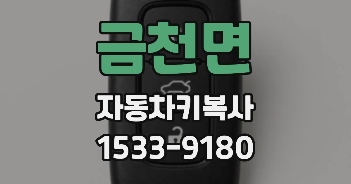 금천면 자동차키복사