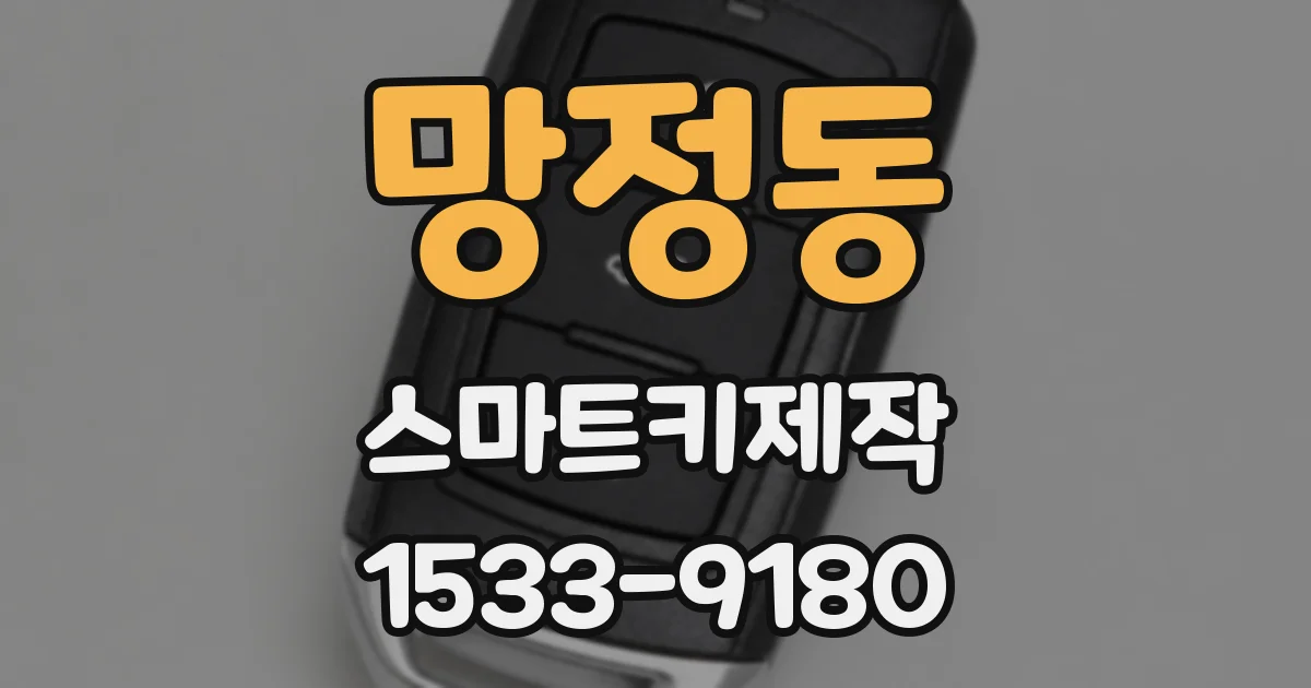 망정동 스마트키제작