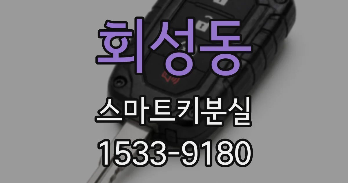 회성동 스마트키분실