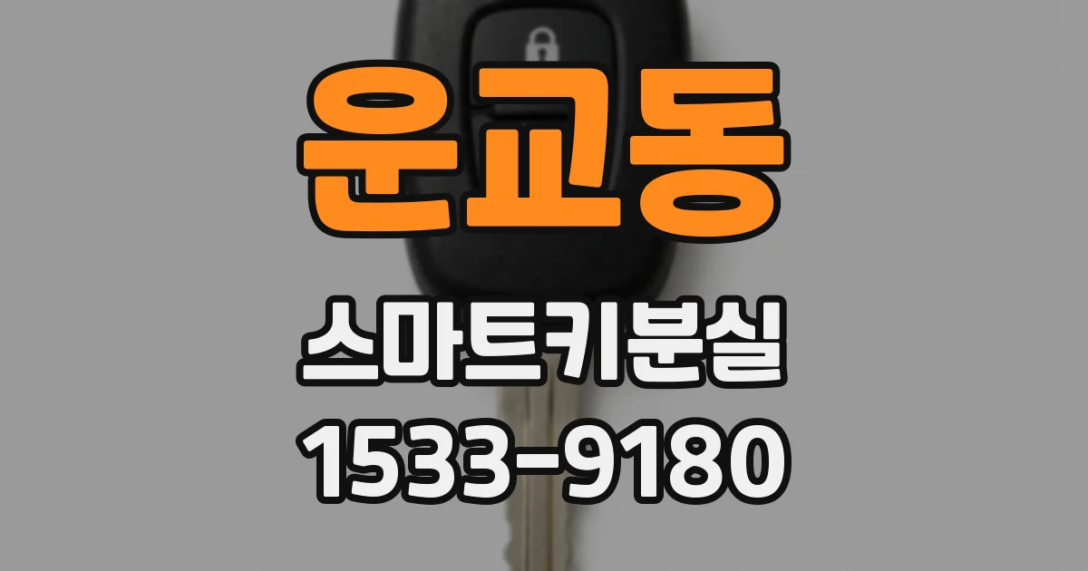 운교동 스마트키분실