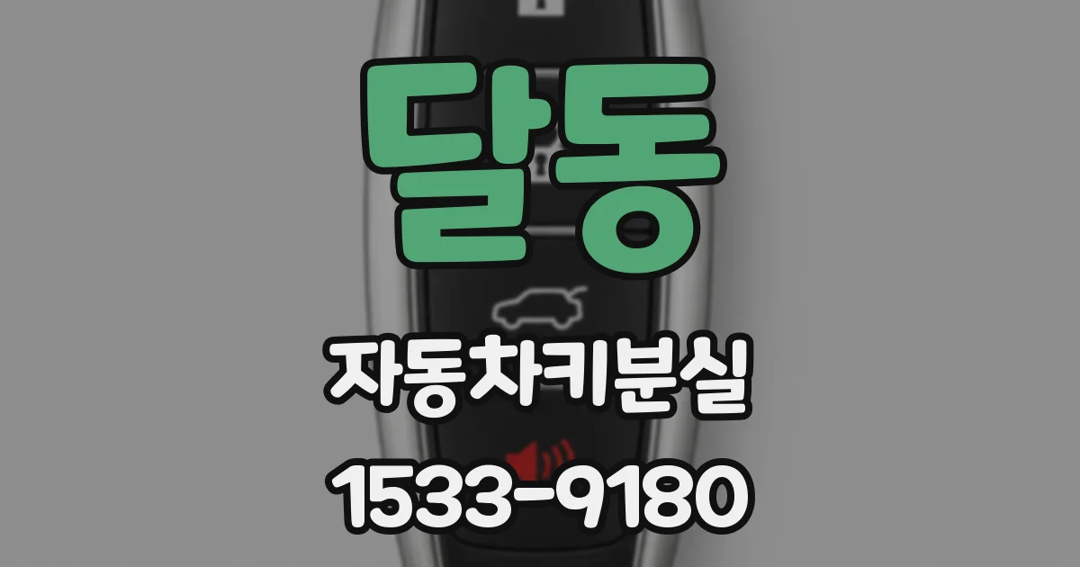 달동 자동차키분실