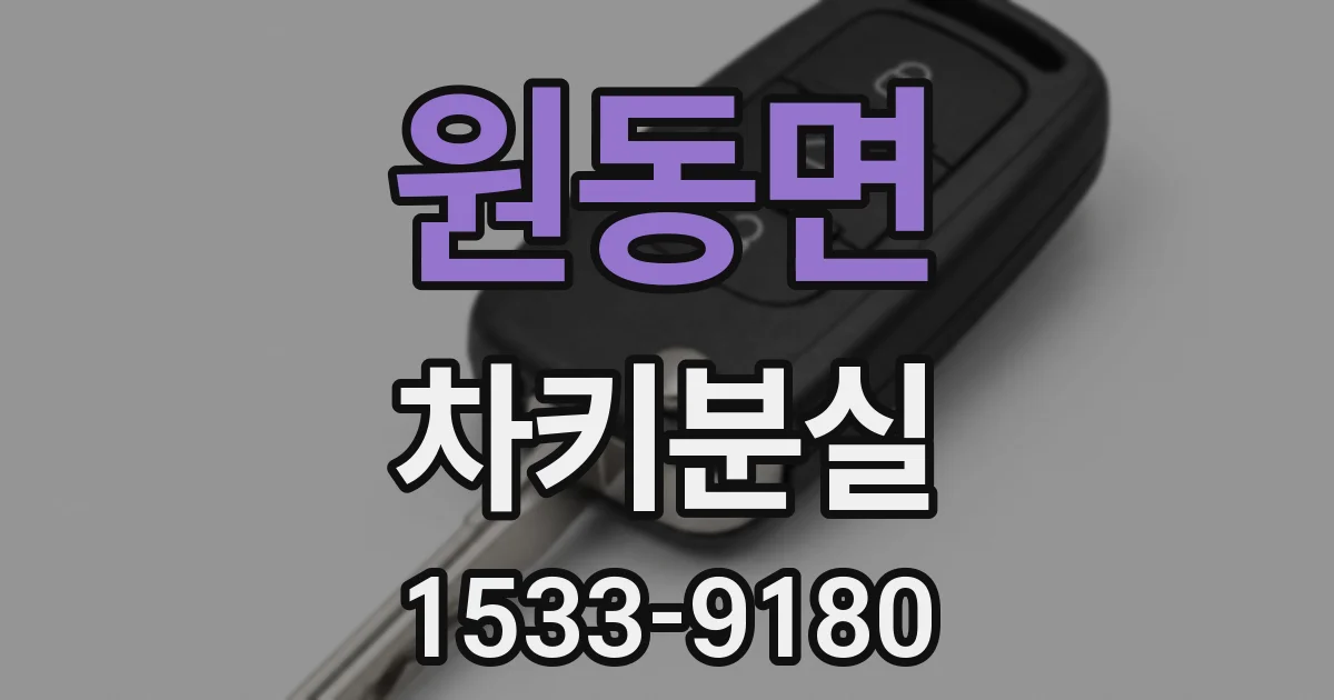 원동면 차키분실