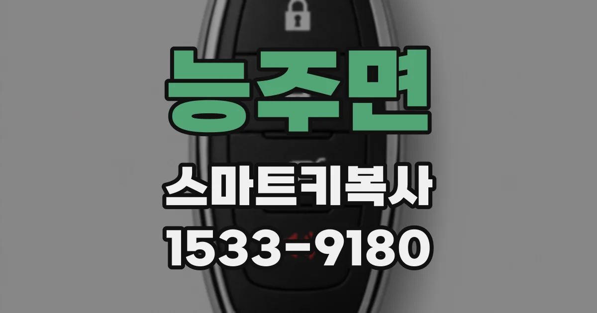 능주면 스마트키복사