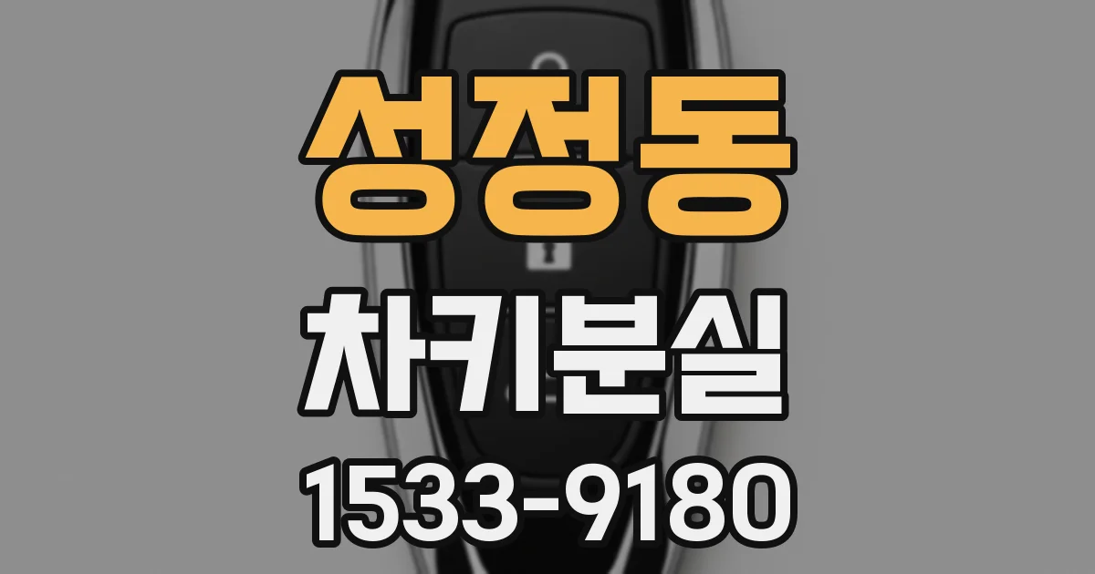 성정동 차키분실