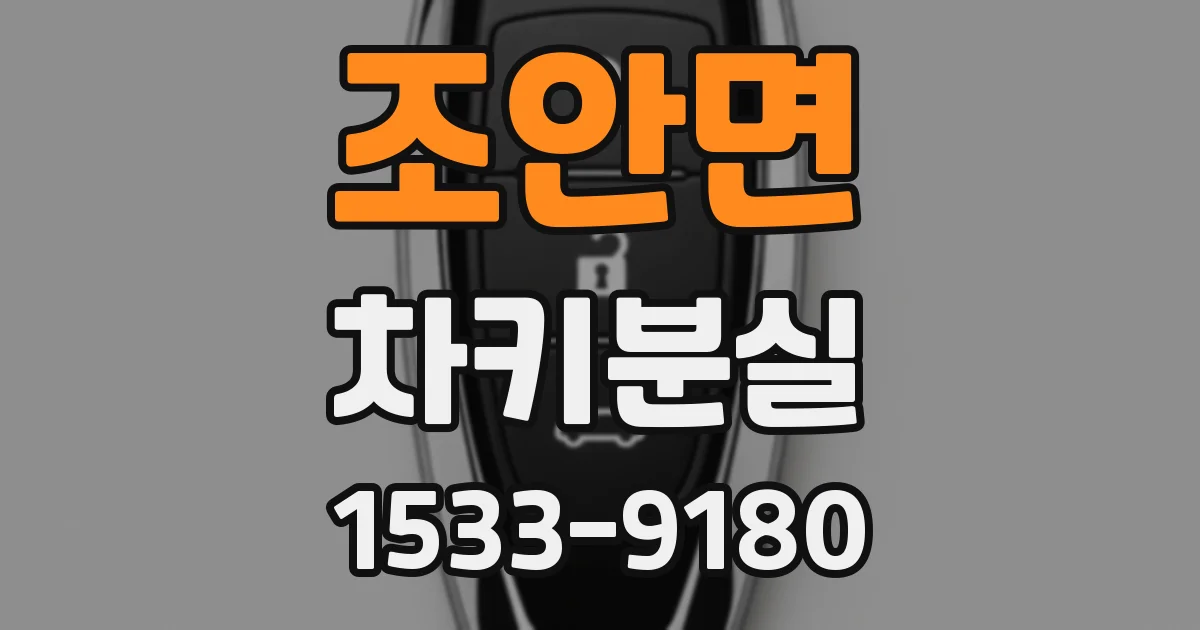 조안면 차키분실