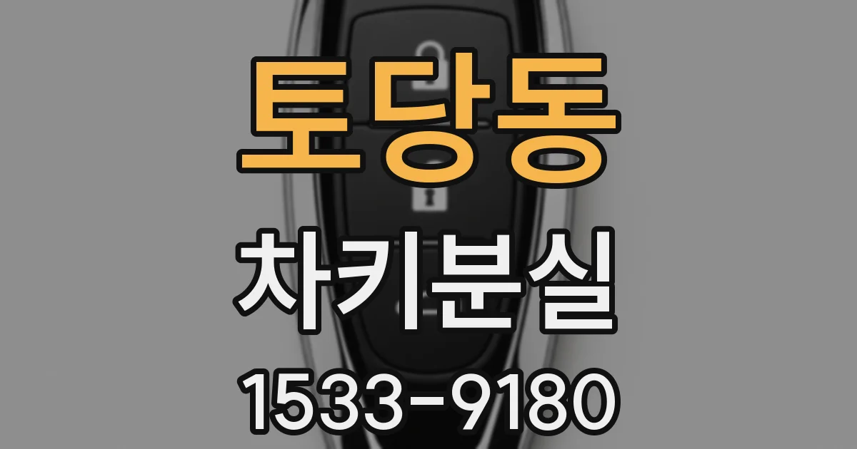 토당동 차키분실
