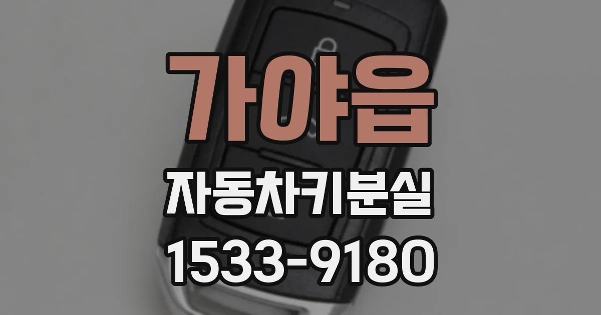 가야읍 자동차키분실