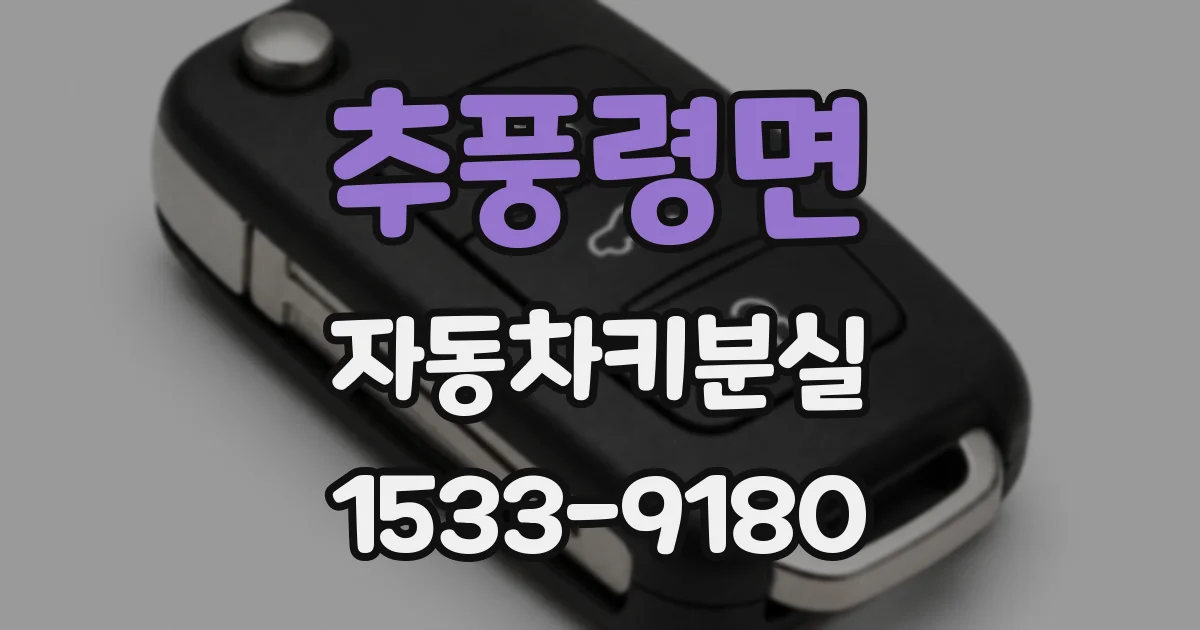 추풍령면 자동차키분실