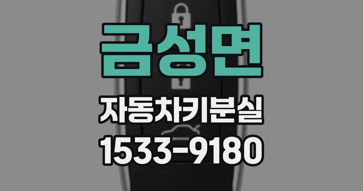 금성면 자동차키분실